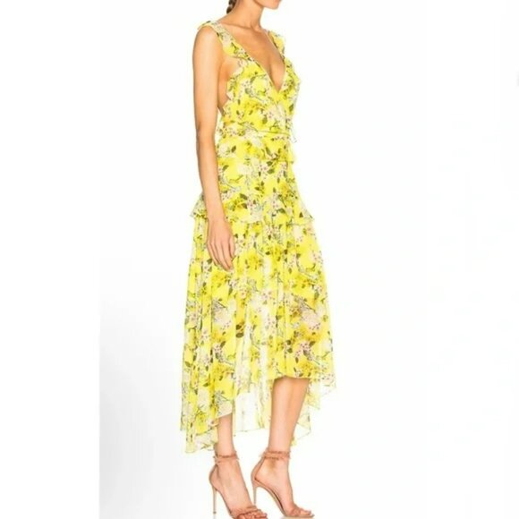 NWT Marissa Webb Kaya Silk Print Dress.  SZ S - Picture 2 of 7